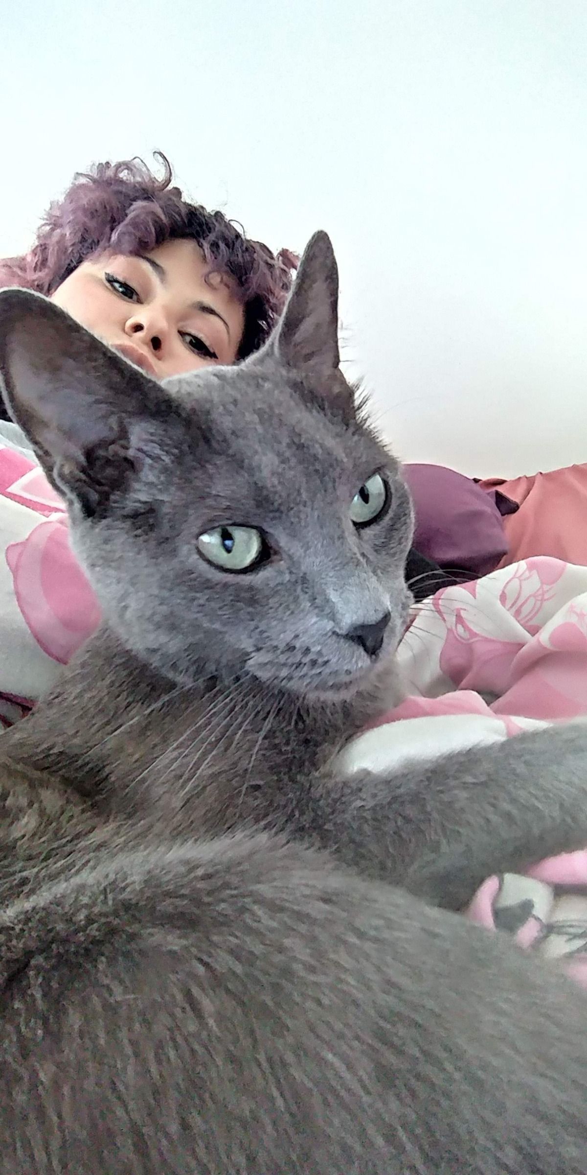 Selfie de Vixx con una gata gris
